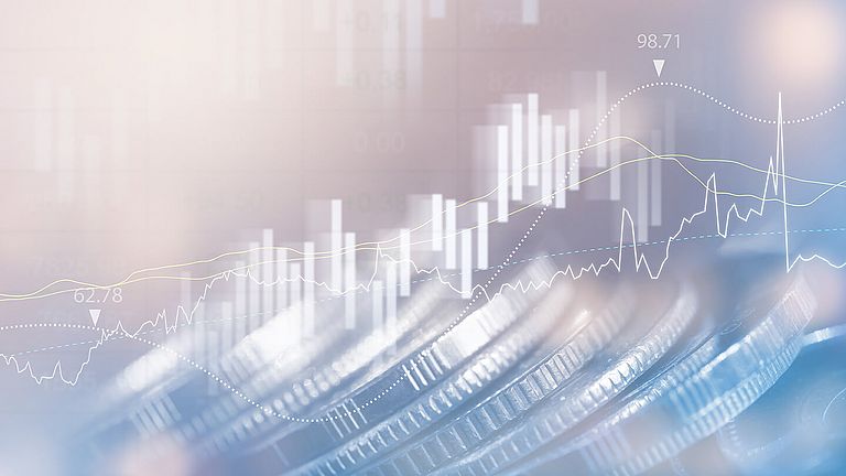 Wero Digitaler Euro