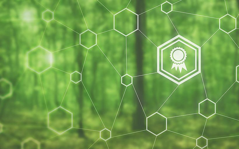Corporate Sustainability Reporting Directive
