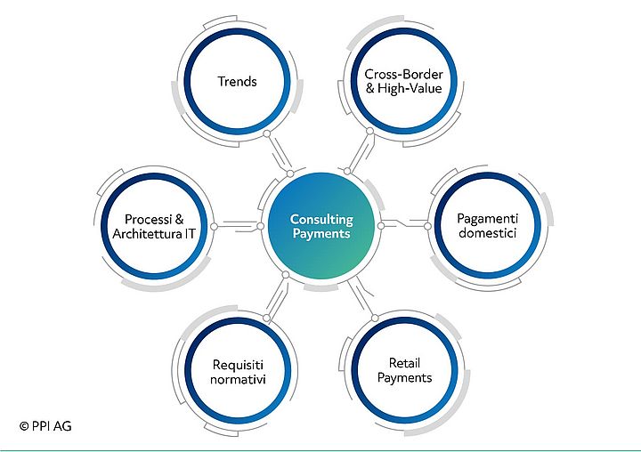 Schema dei settori di consulenza della divisione Consulting Payments