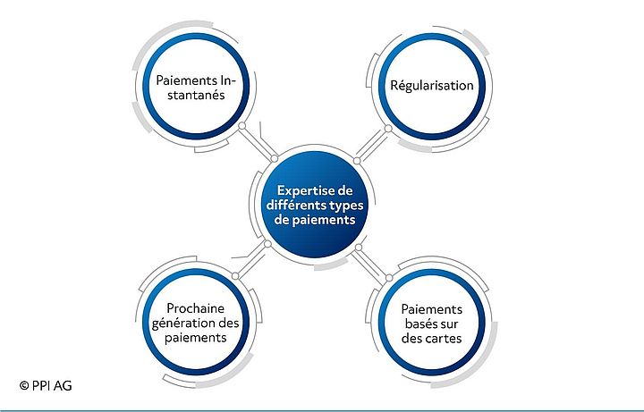 Schéma des offres de conseil de PPI France