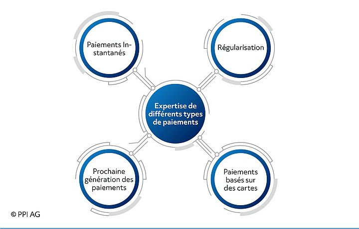 Schéma des offres de conseil de PPI France