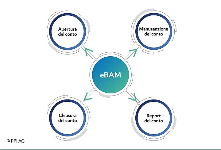 Rappresentazione dell'ambito dei servizi per la gestione elettronica del conto bancario Immagine dell'icona