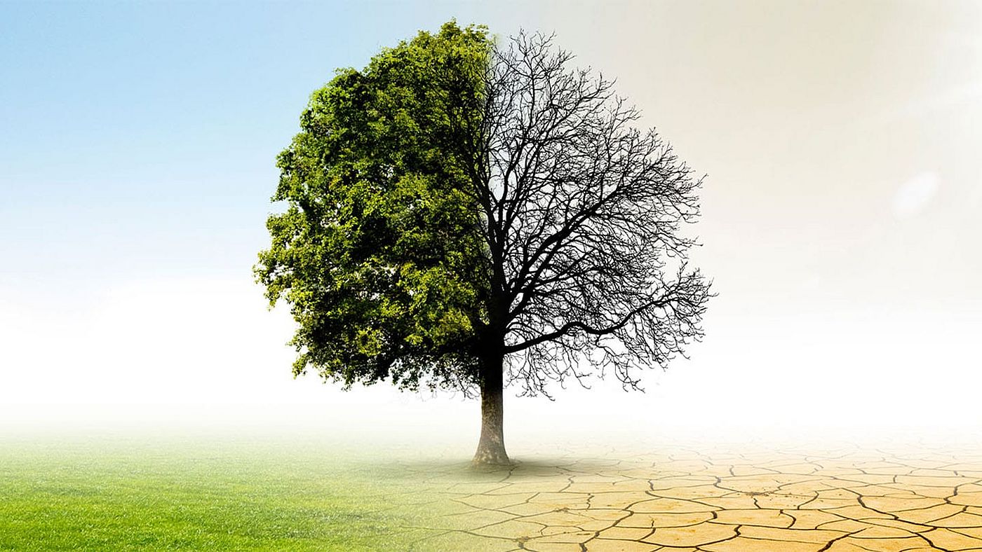 Klimawandel im Fokus des Risikomanagements von Banken 