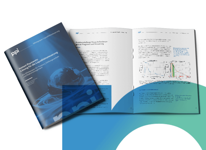 Vorschaubild des Whitepaper Liquiditätssteuerung